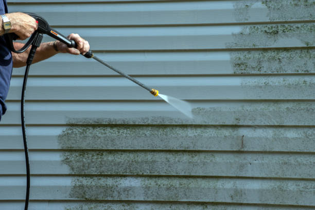 Best Residential Pressure Washing Services  in Bellview, FL