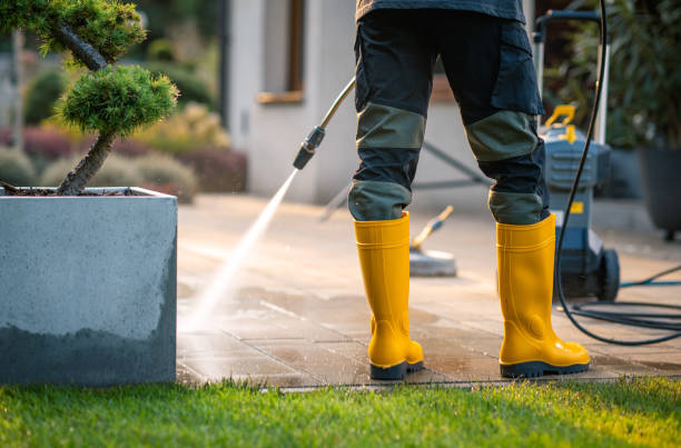 Best Local Pressure Washing Services  in Bellview, FL